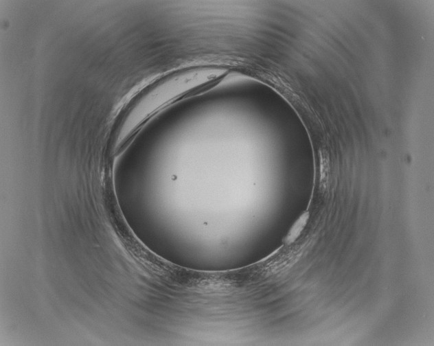 X0000060580348200511241347