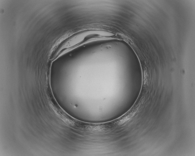 X0000060580349200511241347