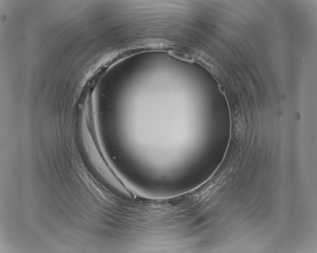 X0000060580350200511241347