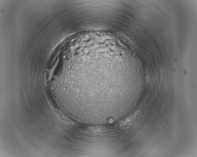 X0000060580351200511241347