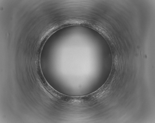 X0000060580352200511241347