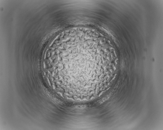 X0000060580353200511241347