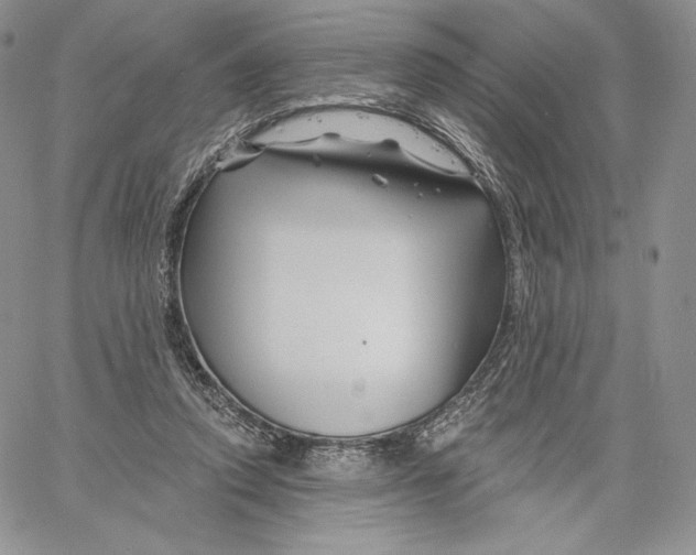 X0000060580354200511241347