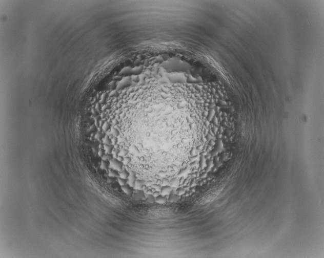 X0000060580357200511241347