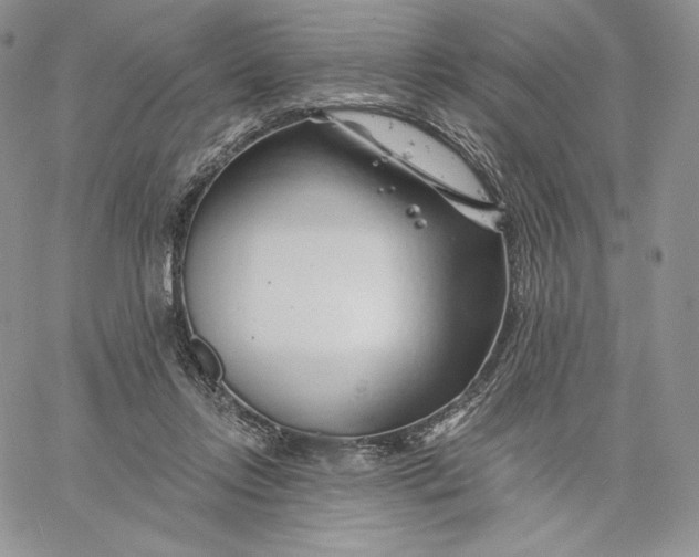 X0000060580358200511241347