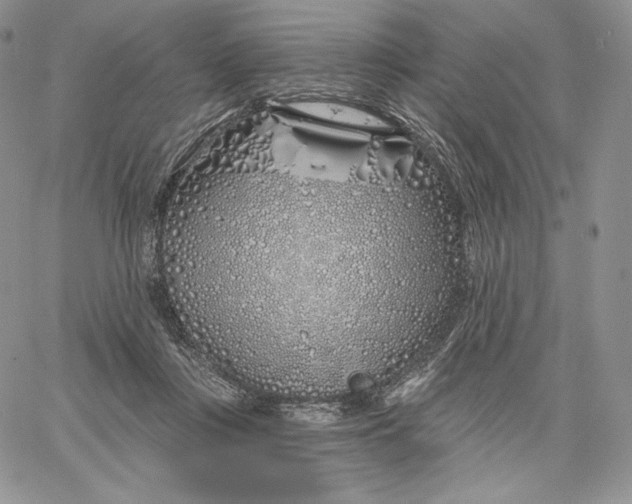 X0000060580359200511241347