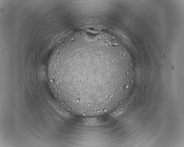 X0000060580361200511241347