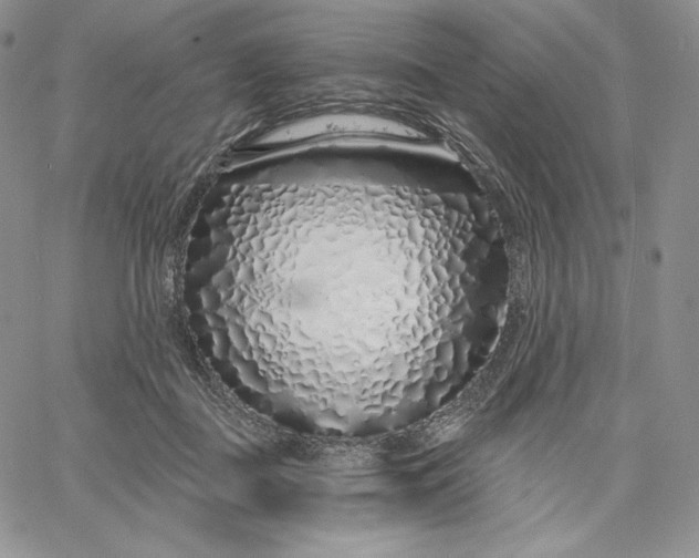 X0000060580363200511241347