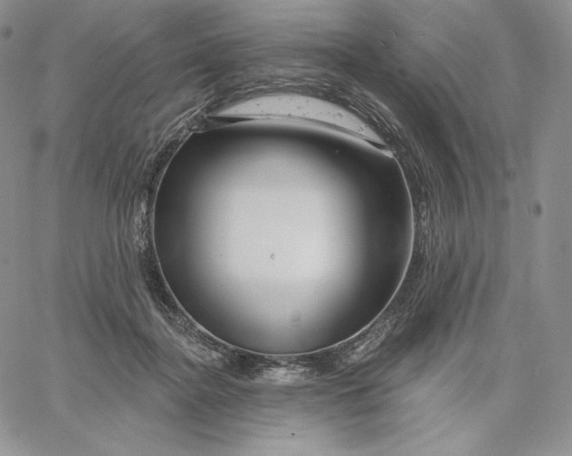 X0000060580364200511241347