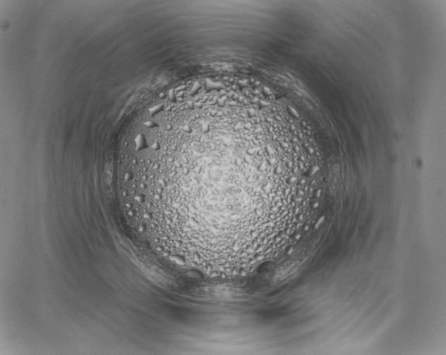 X0000060580365200511241347