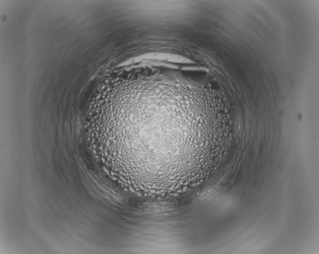 X0000060580367200511241347