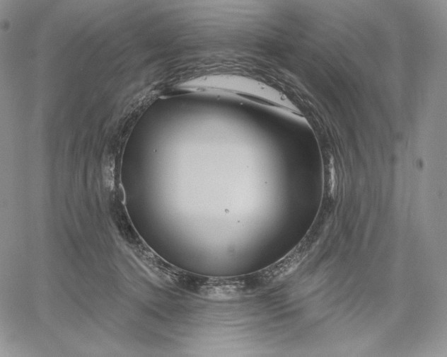 X0000060580368200511241347