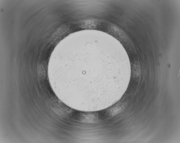 X0000060580370200511241347