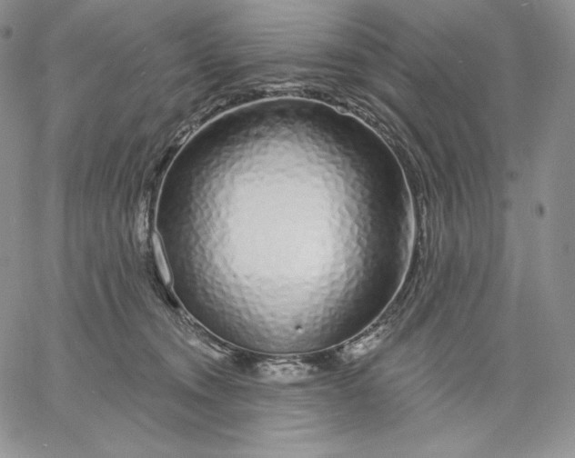 X0000060580372200511241347