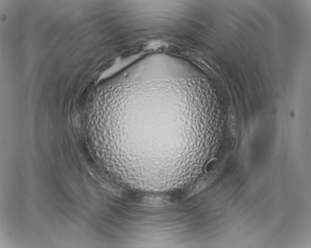 X0000060580375200511241347