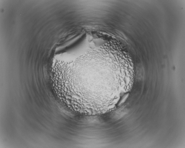 X0000060580377200511241347