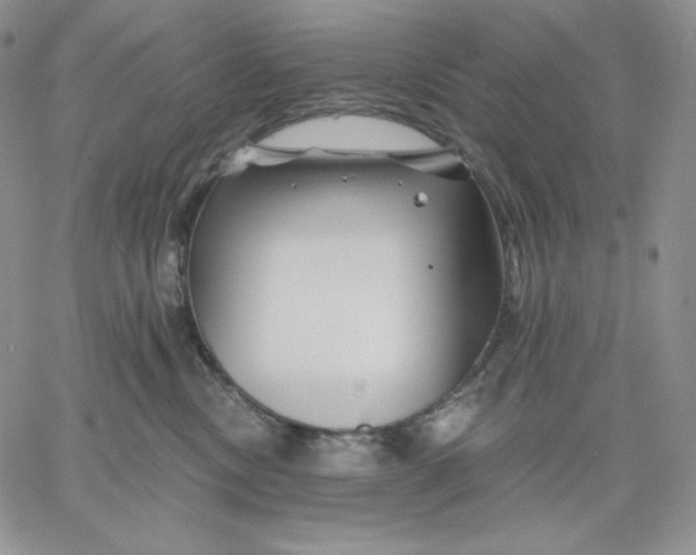 X0000060580378200511241347