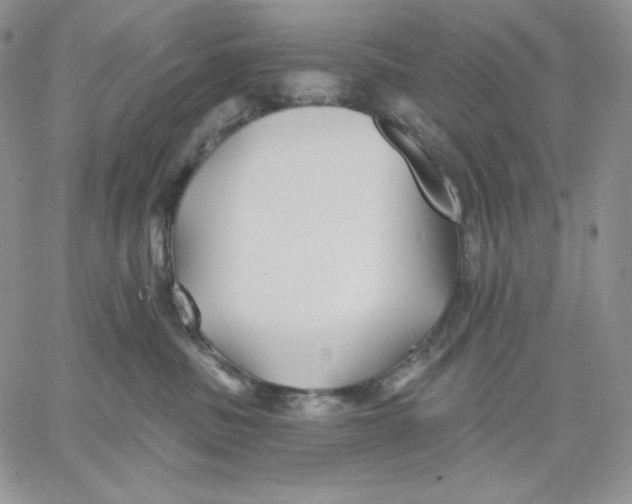 X0000060580379200511241347