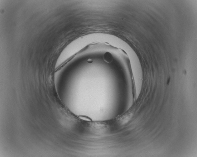 X0000060580380200511241347