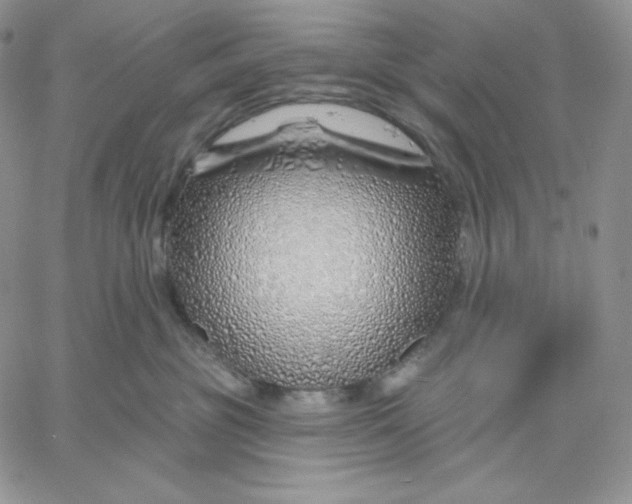 X0000060580381200511241347