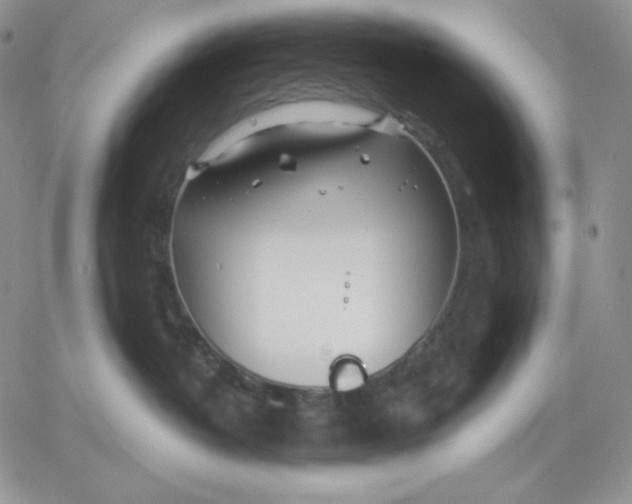 X0000060580382200511241347