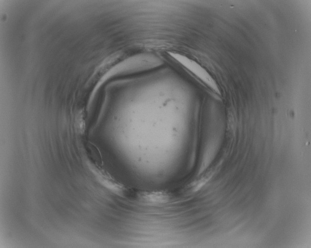 X0000060580383200511241347