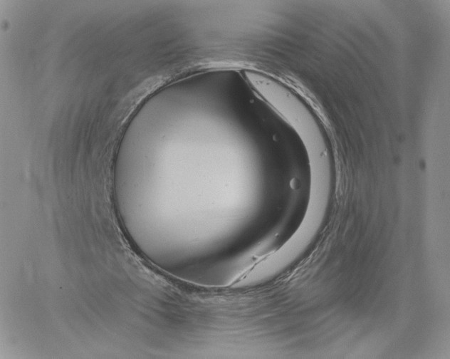 X0000060580385200511241346