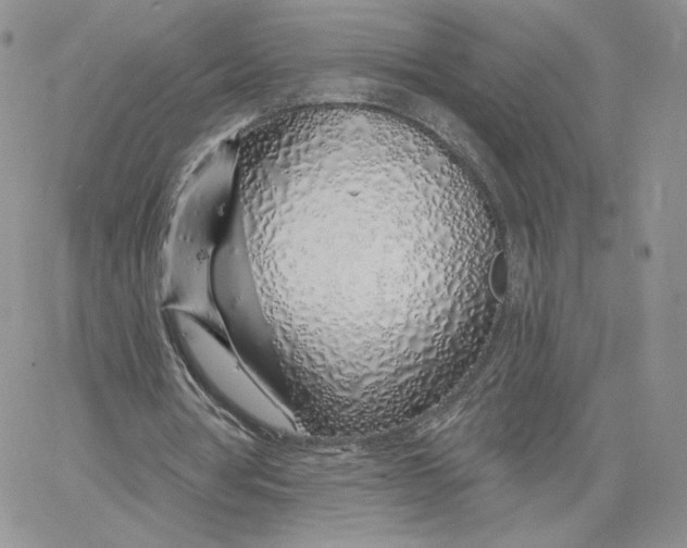 X0000060580386200511241346