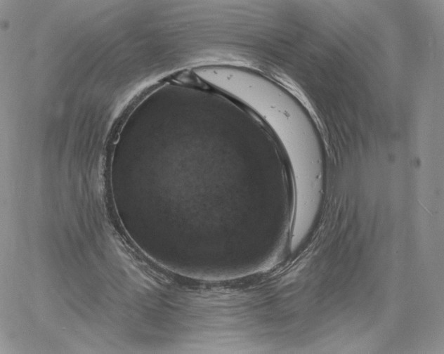 X0000060580387200511241346