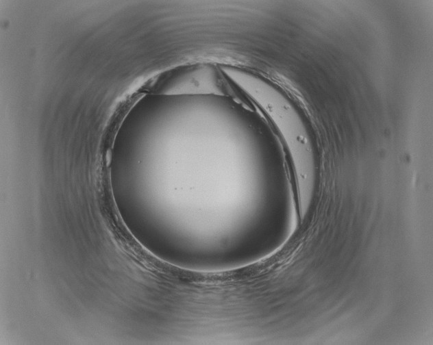 X0000060580388200511241346