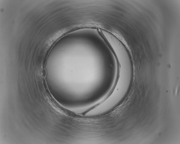 X0000060580389200511241346