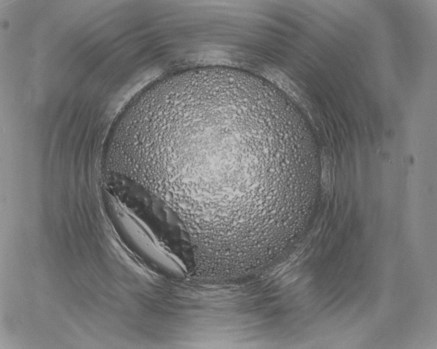 X0000060580390200511241346