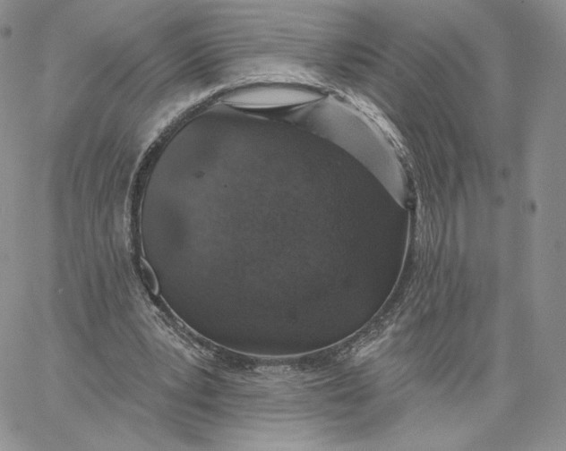 X0000060580391200511241346