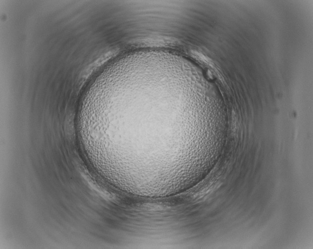 X0000060580394200511241346