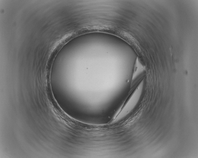 X0000060580395200511241346