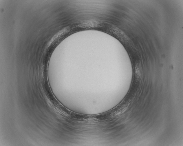 X0000060580396200511241346