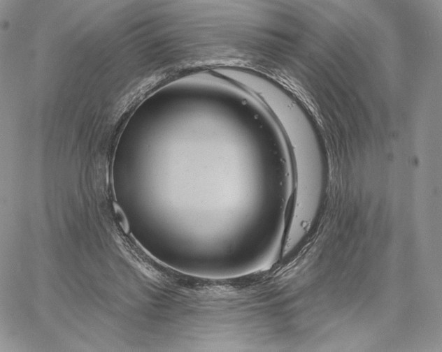 X0000060580397200511241346