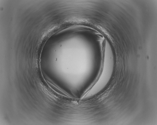 X0000060580399200511241346