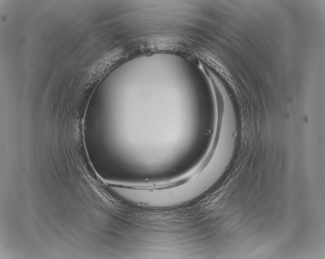 X0000060580401200511241346