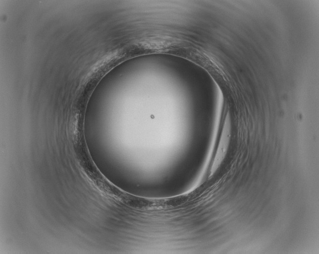 X0000060580404200511241346