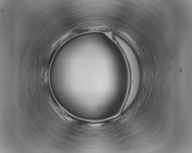 X0000060580405200511241346