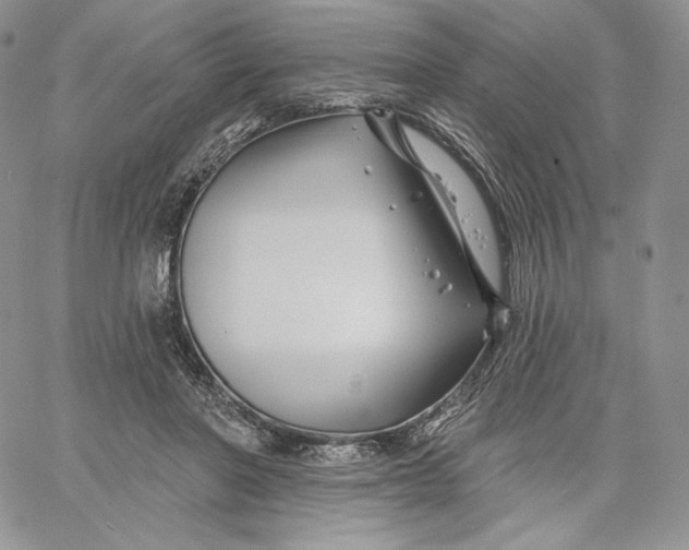 X0000060580406200511241346