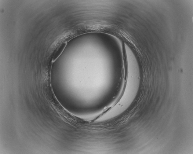 X0000060580407200511241346