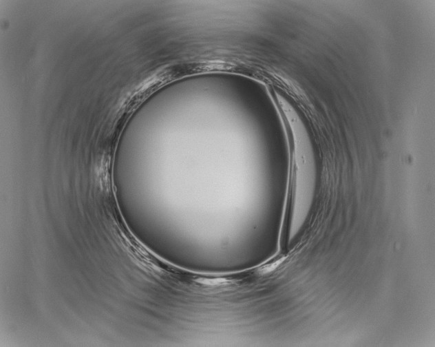 X0000060580409200511241346