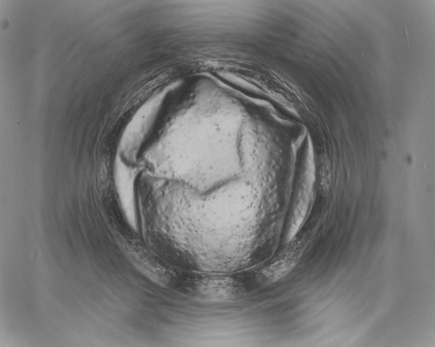 X0000060580410200511241346