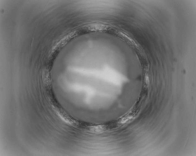 X0000060580411200511241346