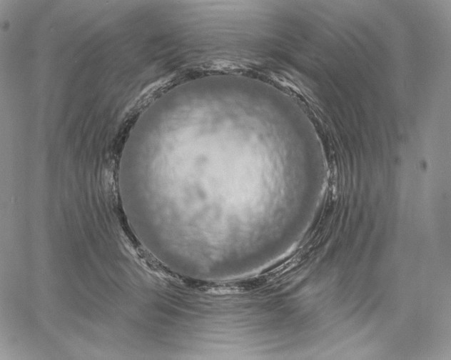 X0000060580415200511241346