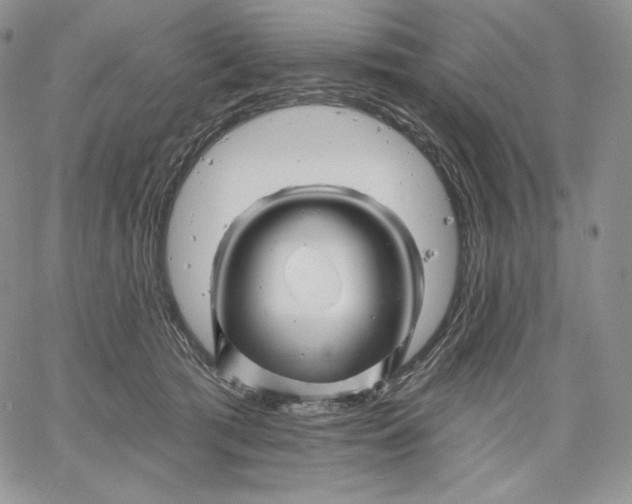 X0000060580417200511241346