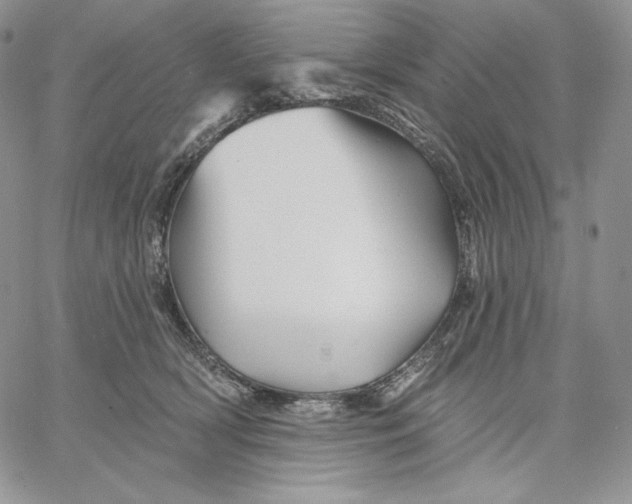 X0000060580418200511241346