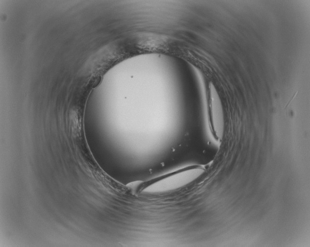 X0000060580420200511241346